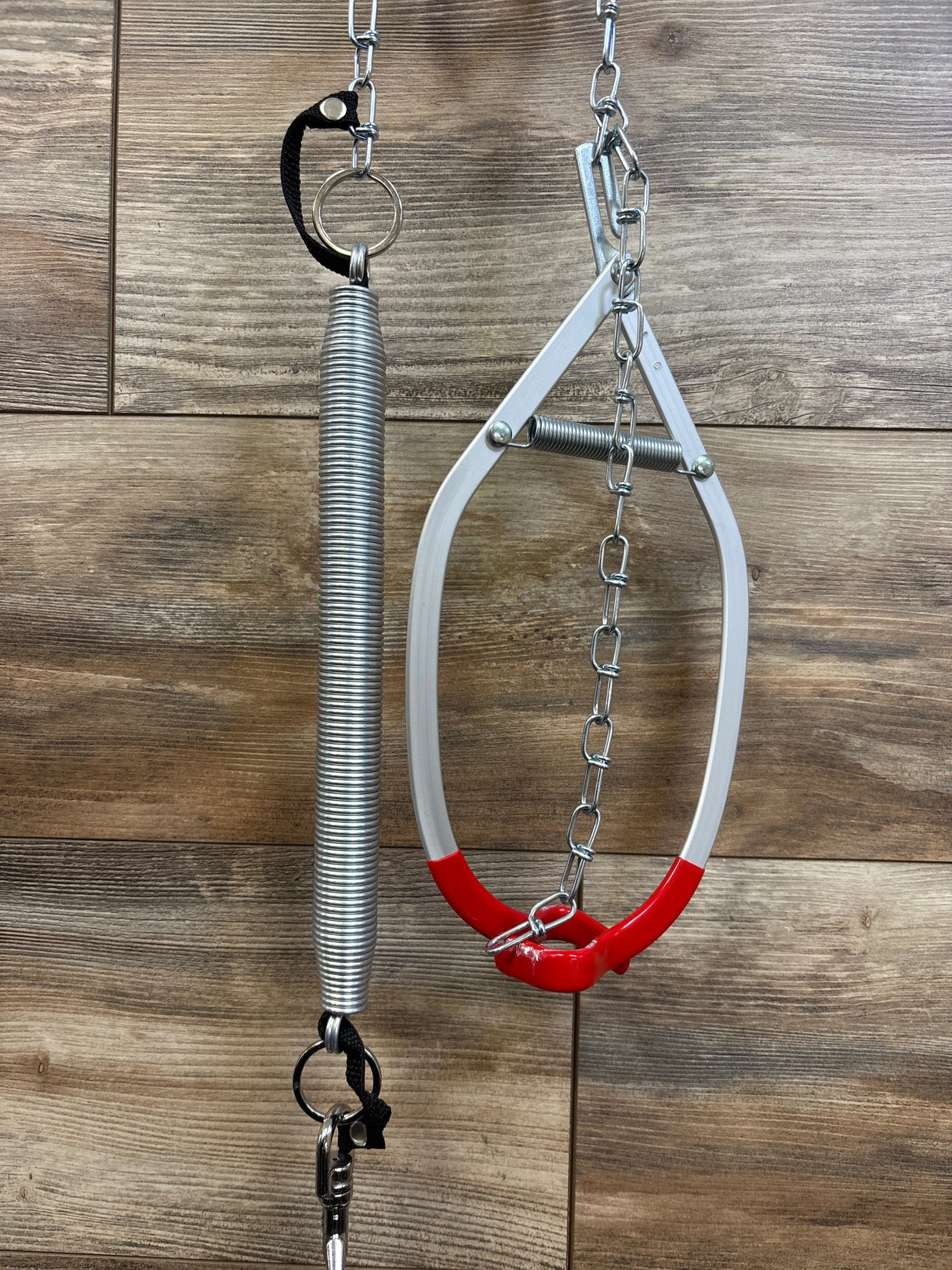 Jolly Jumper w/ Door Clamp in Black
