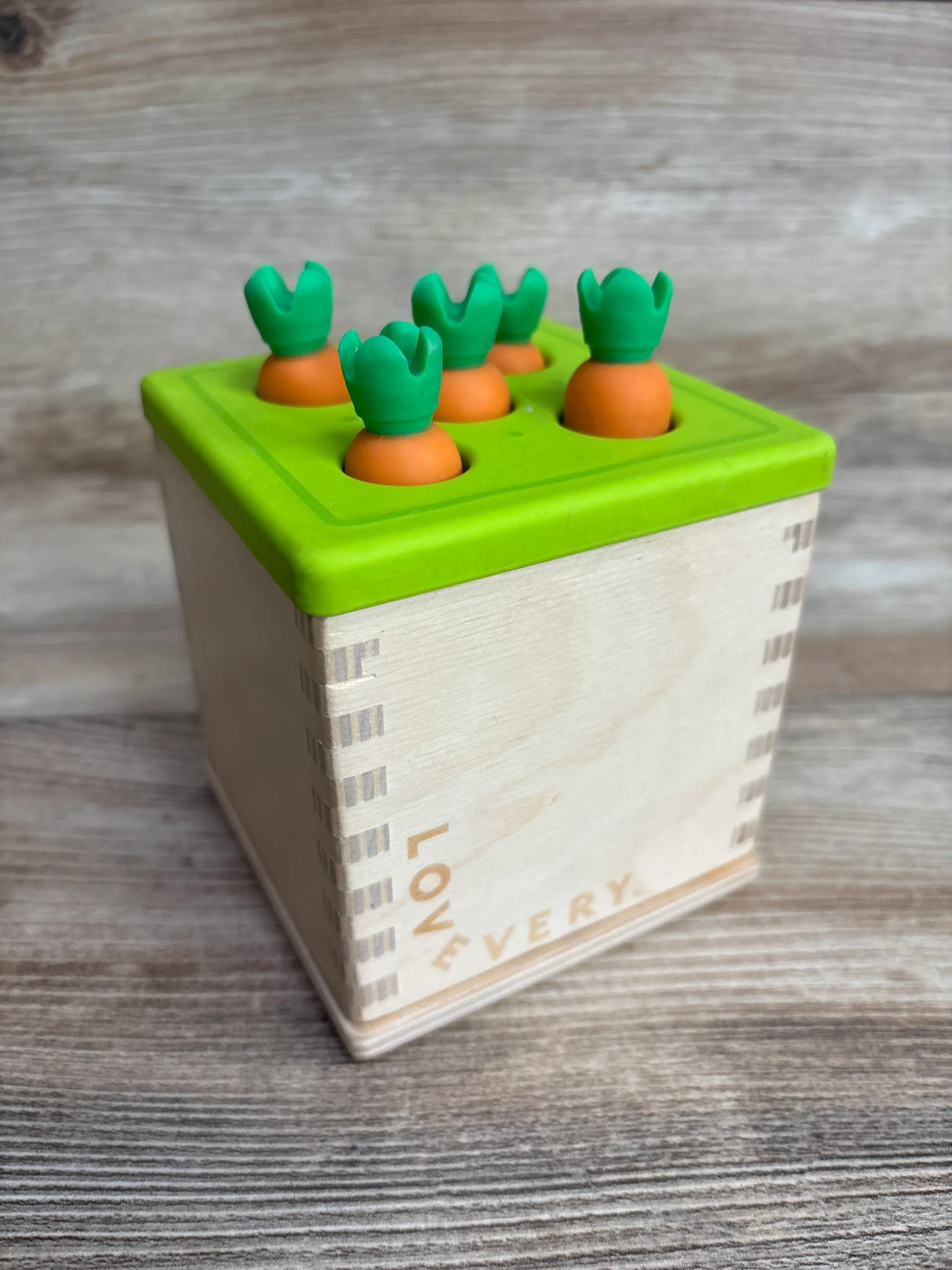 Lovevery Wooden Coin Bank Set + Carrot Lid & Carrots