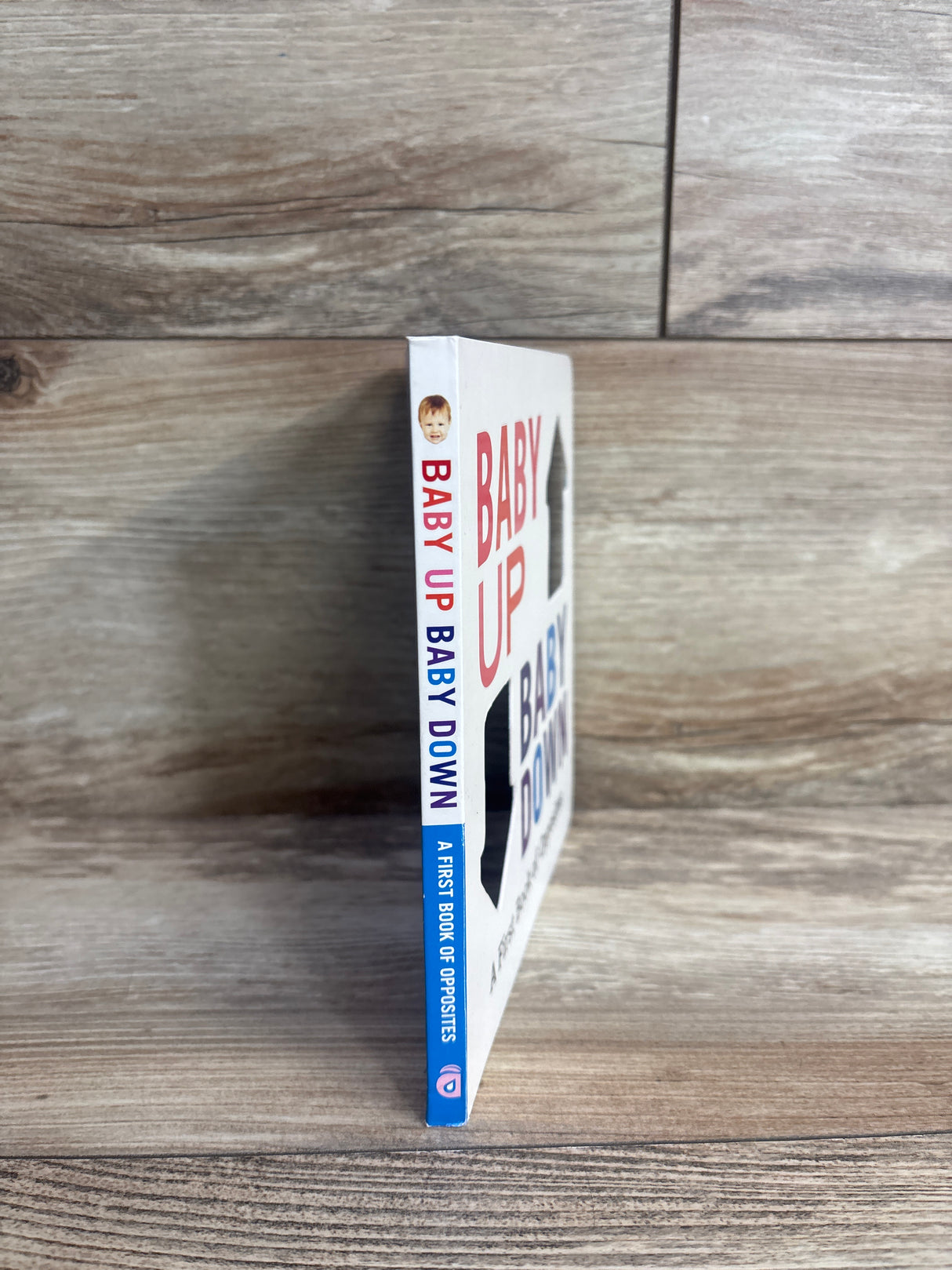 Baby Up, Baby Down: A First Book of Opposites Board Book