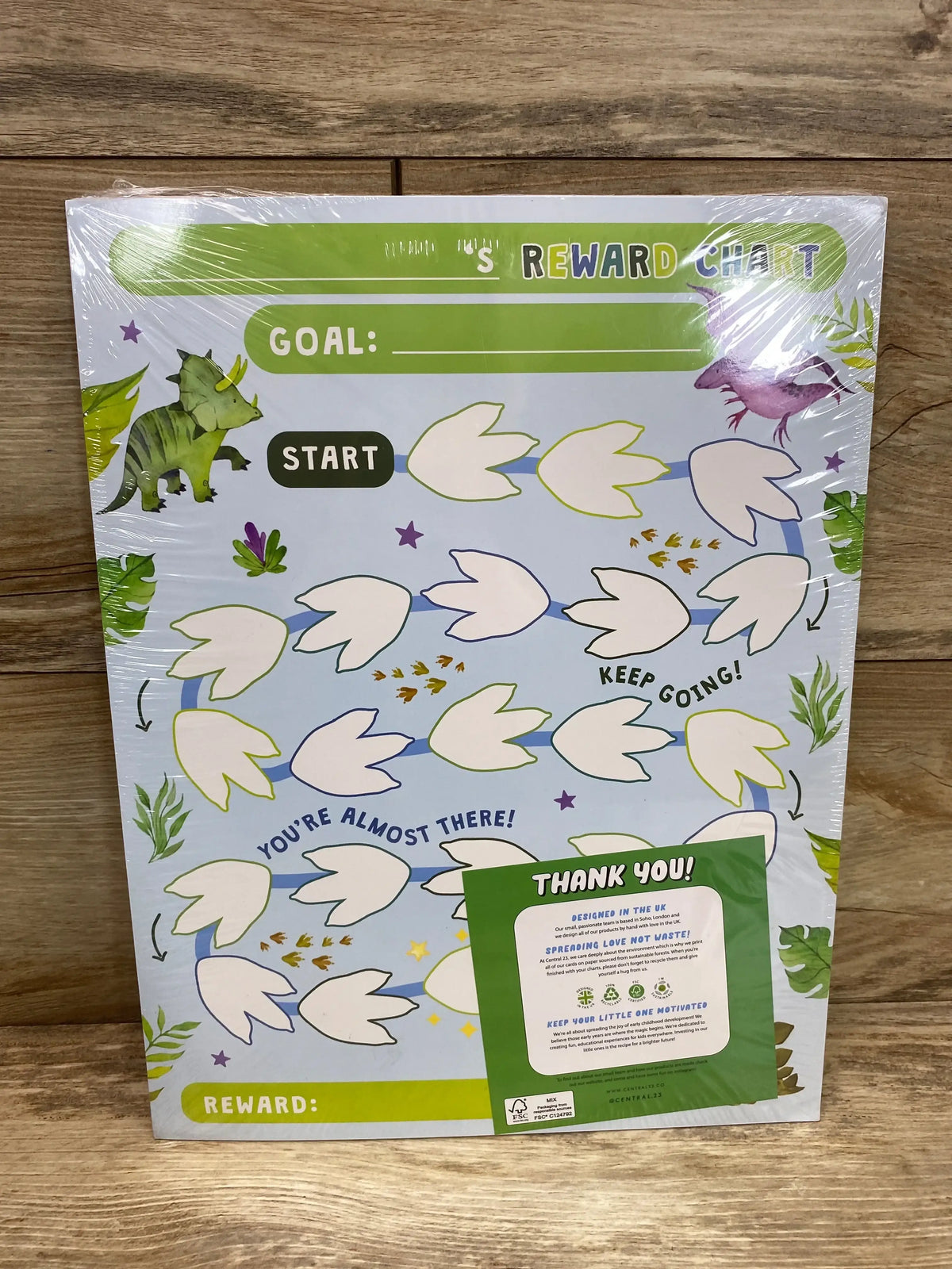 Front view of Central.23 reward chart with dinosaur footprint path, Goal, Start and Reward fields on wood background