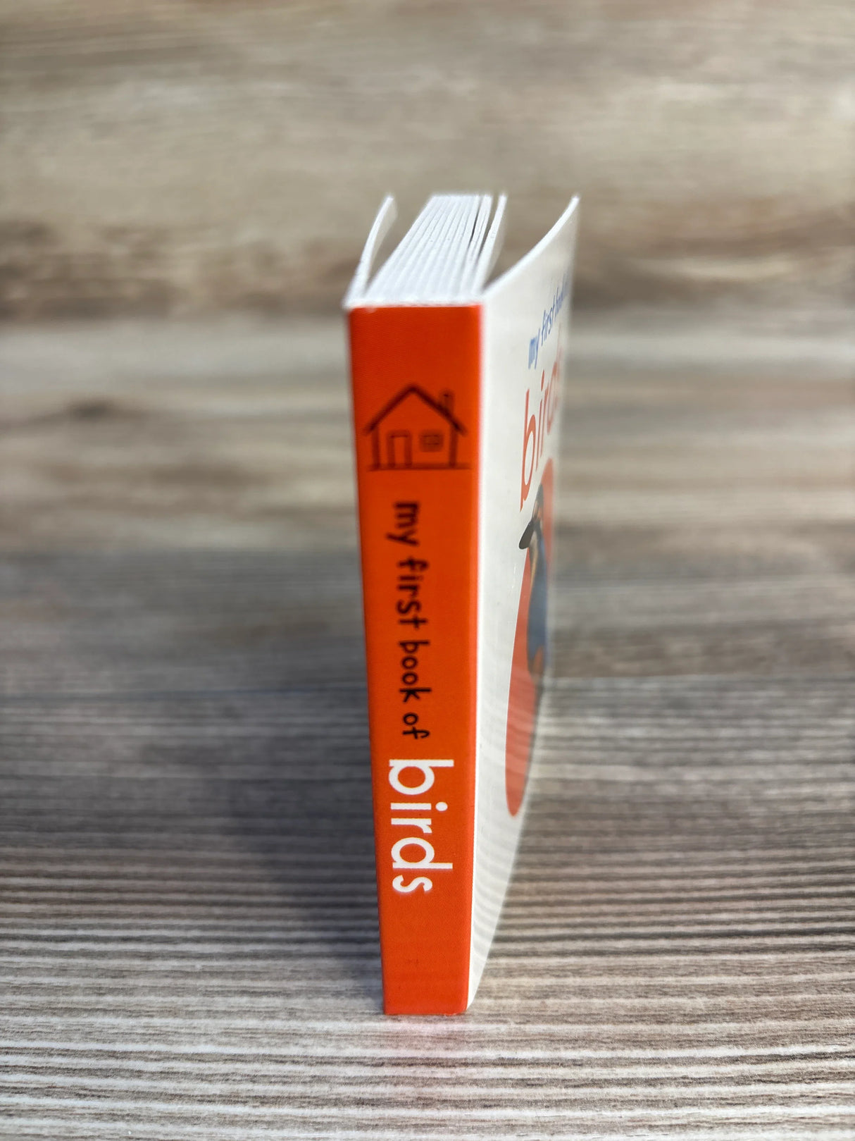 My First Book of Birds Board Book