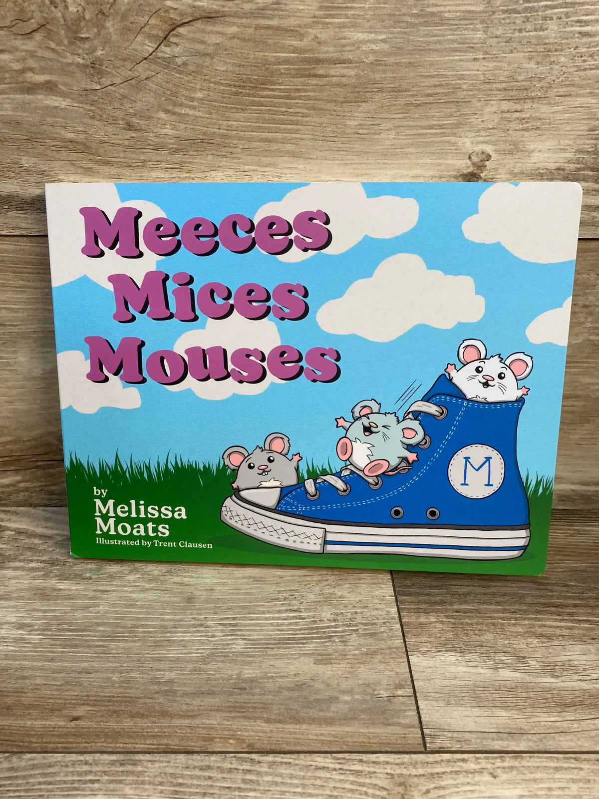 Front of Meeces Mices Mouses board book with pink title and three cartoon mice in a blue sneaker on wood