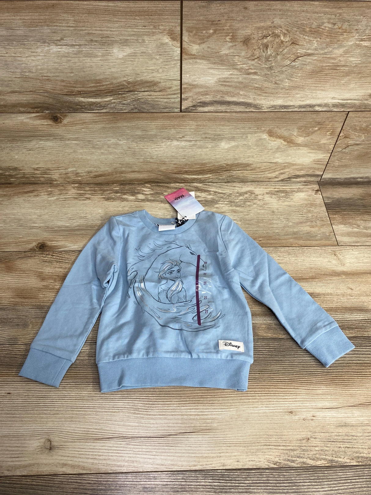 NEW Disney Frozen 2 Sweatshirt Light Blue sz 2T