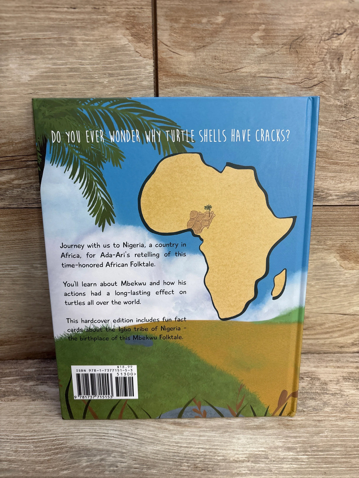 The Turtle's Cracked Shell: An Mbekwu Story Hardcover Book - Me n Mommy To Be