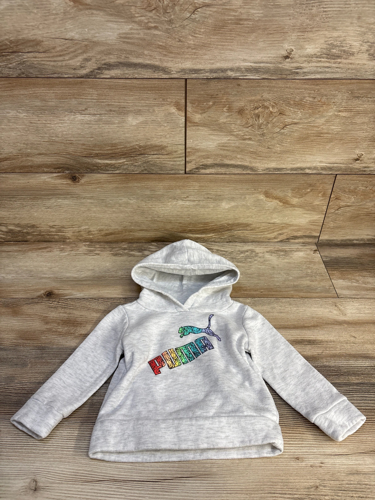 Gray PUMA kids hoodie with rainbow logo on wooden floor background