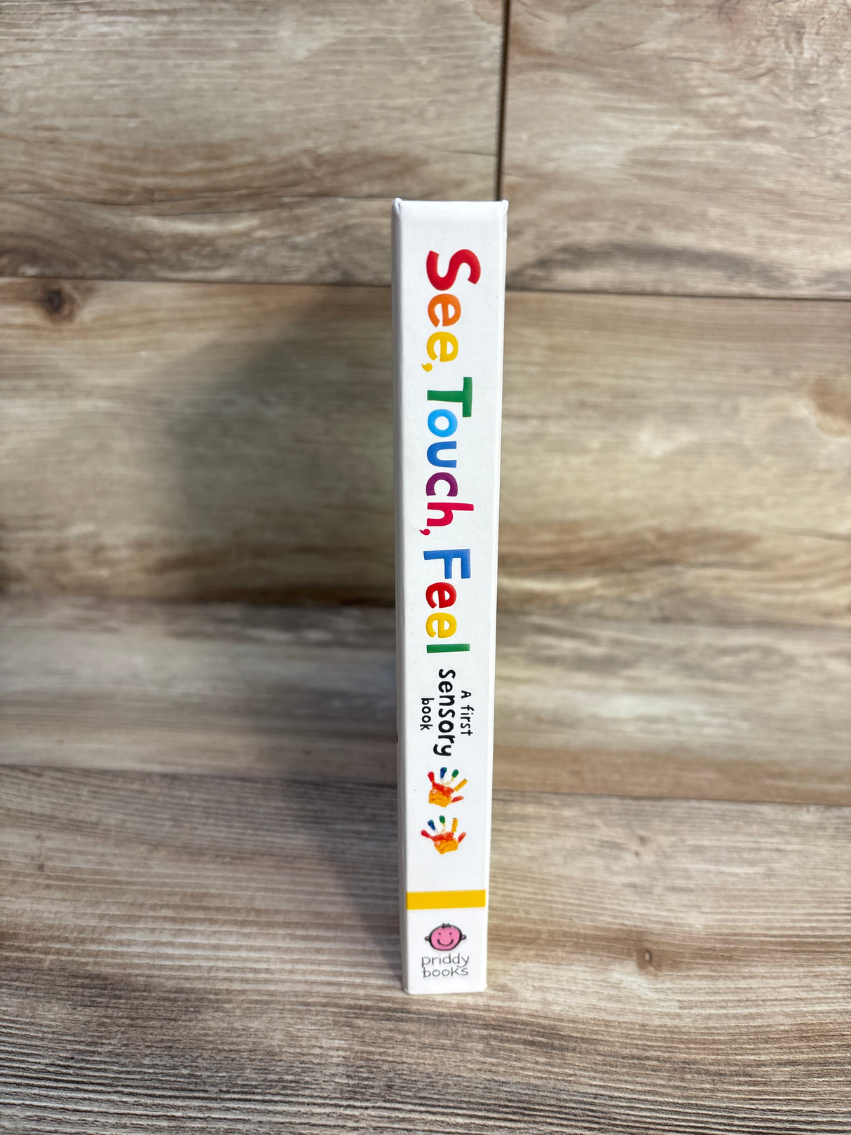 See, Touch, Feel: A First Sensory Board Book