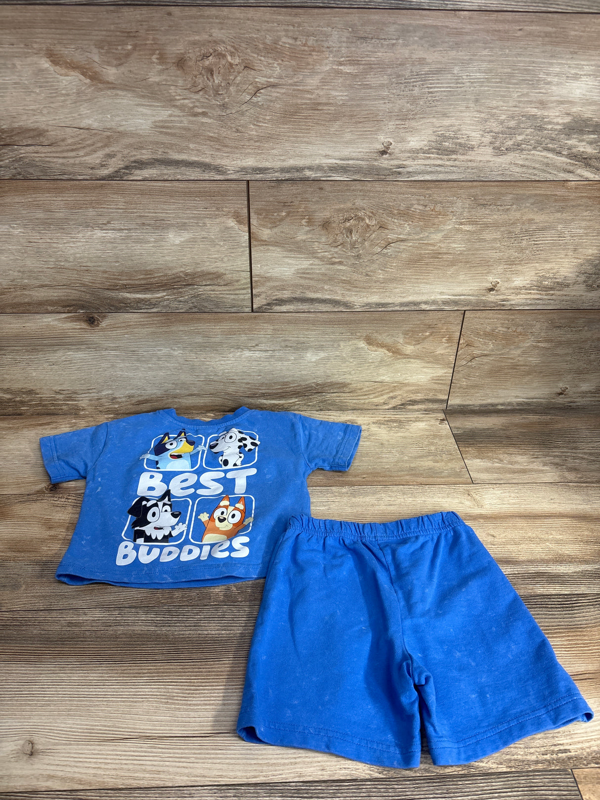 Bluey 2pc Character Shirt & Bottoms Set Blue sz 2T