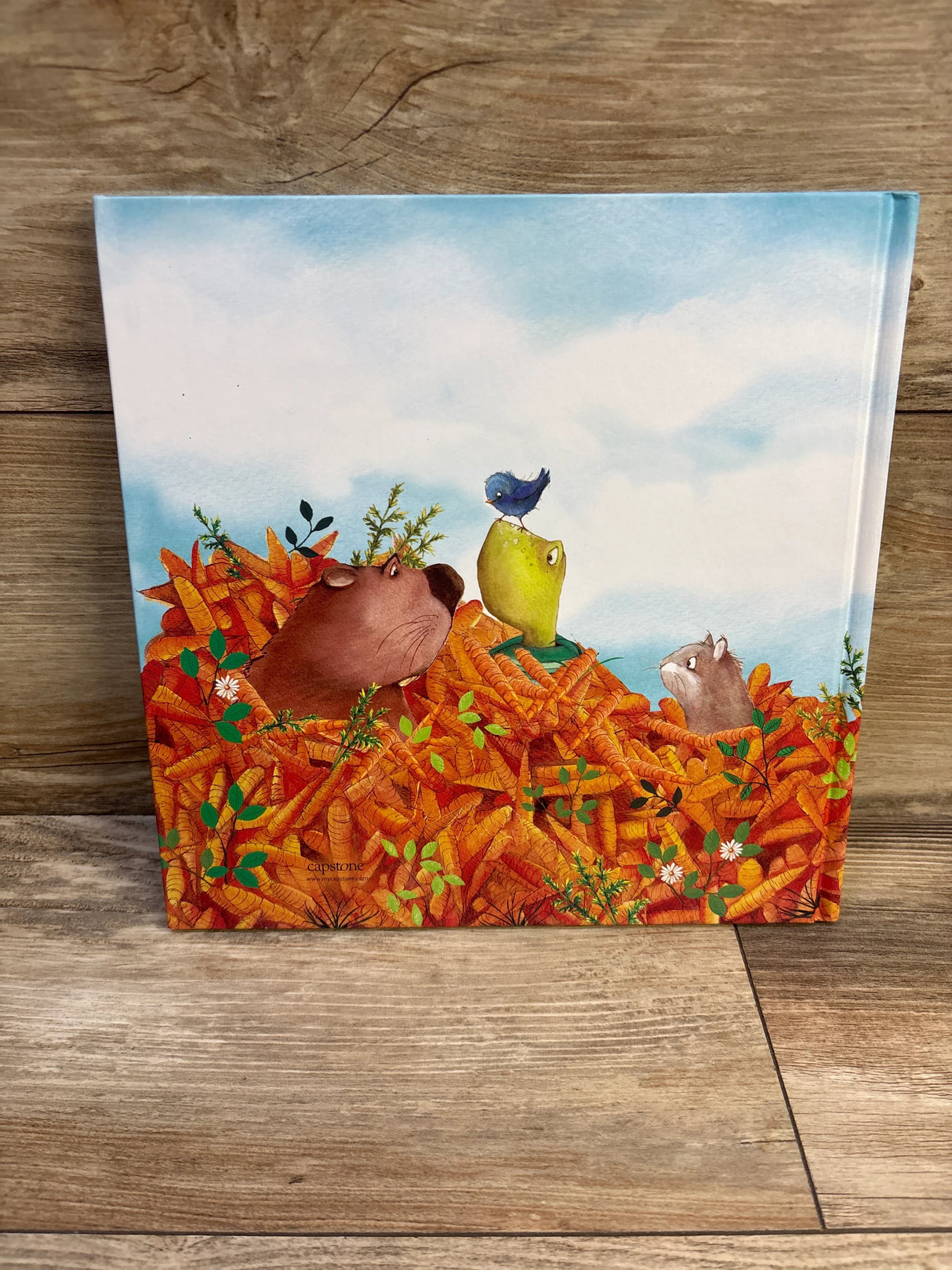 Too Many Carrots Hardcover Book