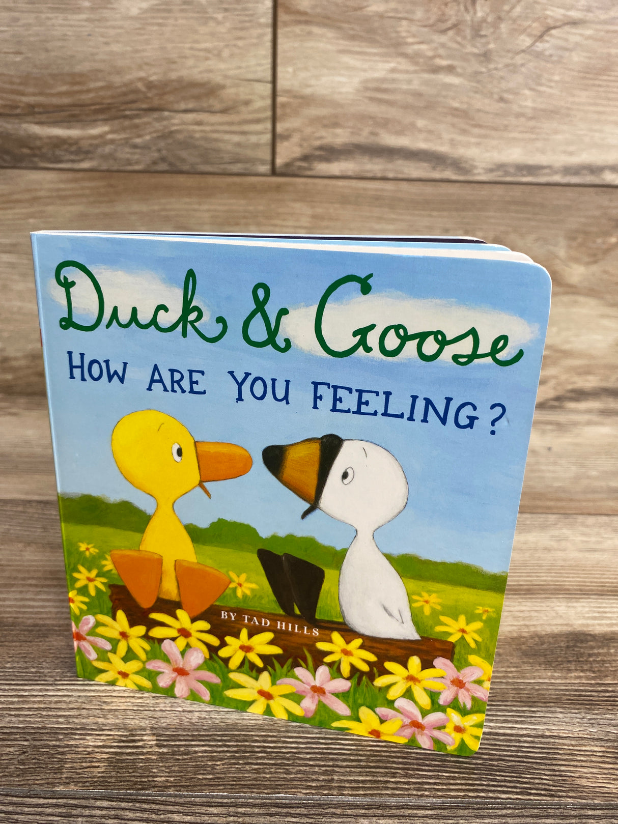 Duck & Goose, How Are You Feeling? Board Book