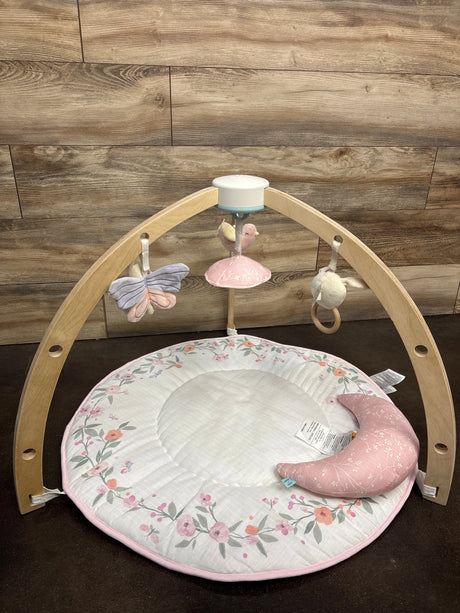 Aden & Anais Baby Activity Gym in Ma Fleur - Me n Mommy To Be