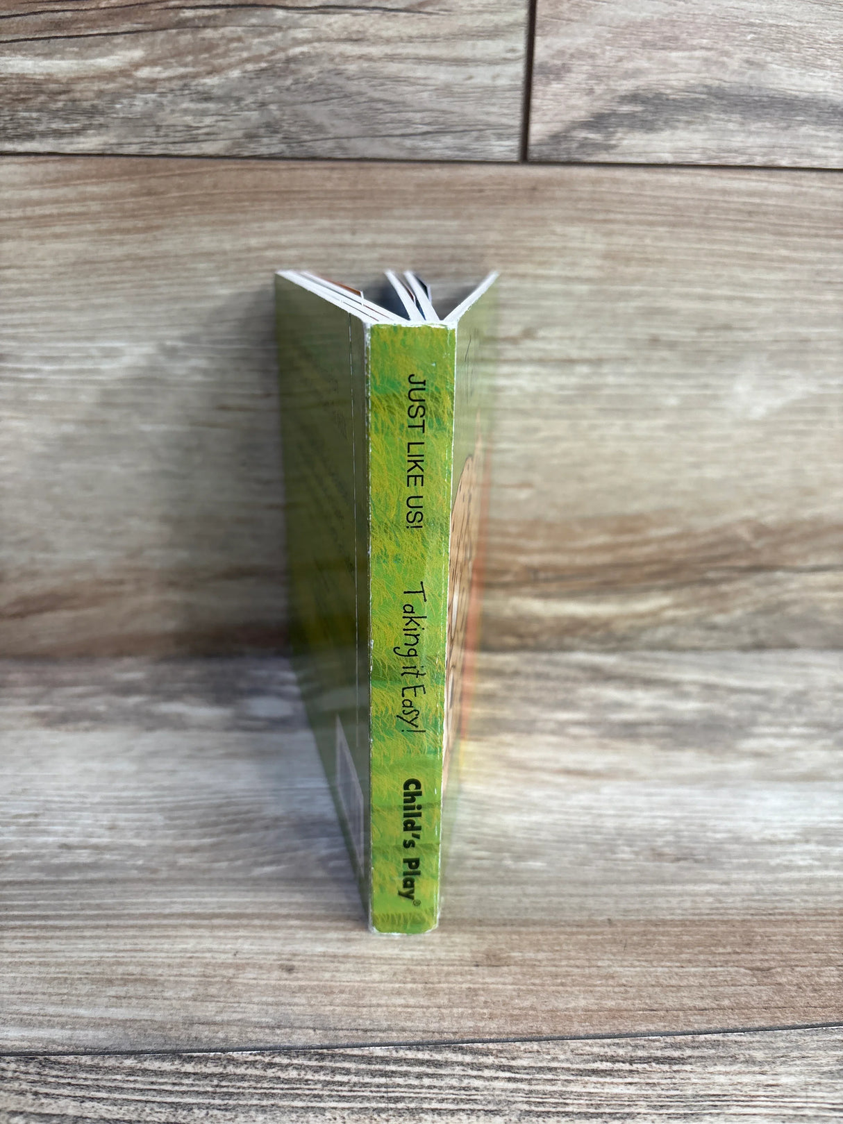 Just Like Us Taking It Easy children's book with green spine on wooden surface