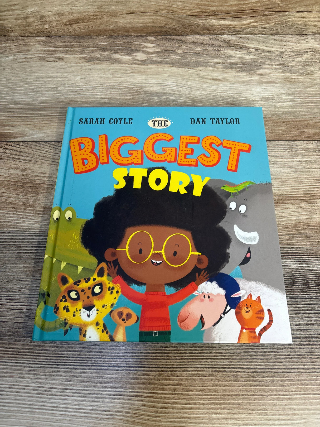 Children's book 'The Biggest Story' with illustrated animals and a smiling child on wood surface