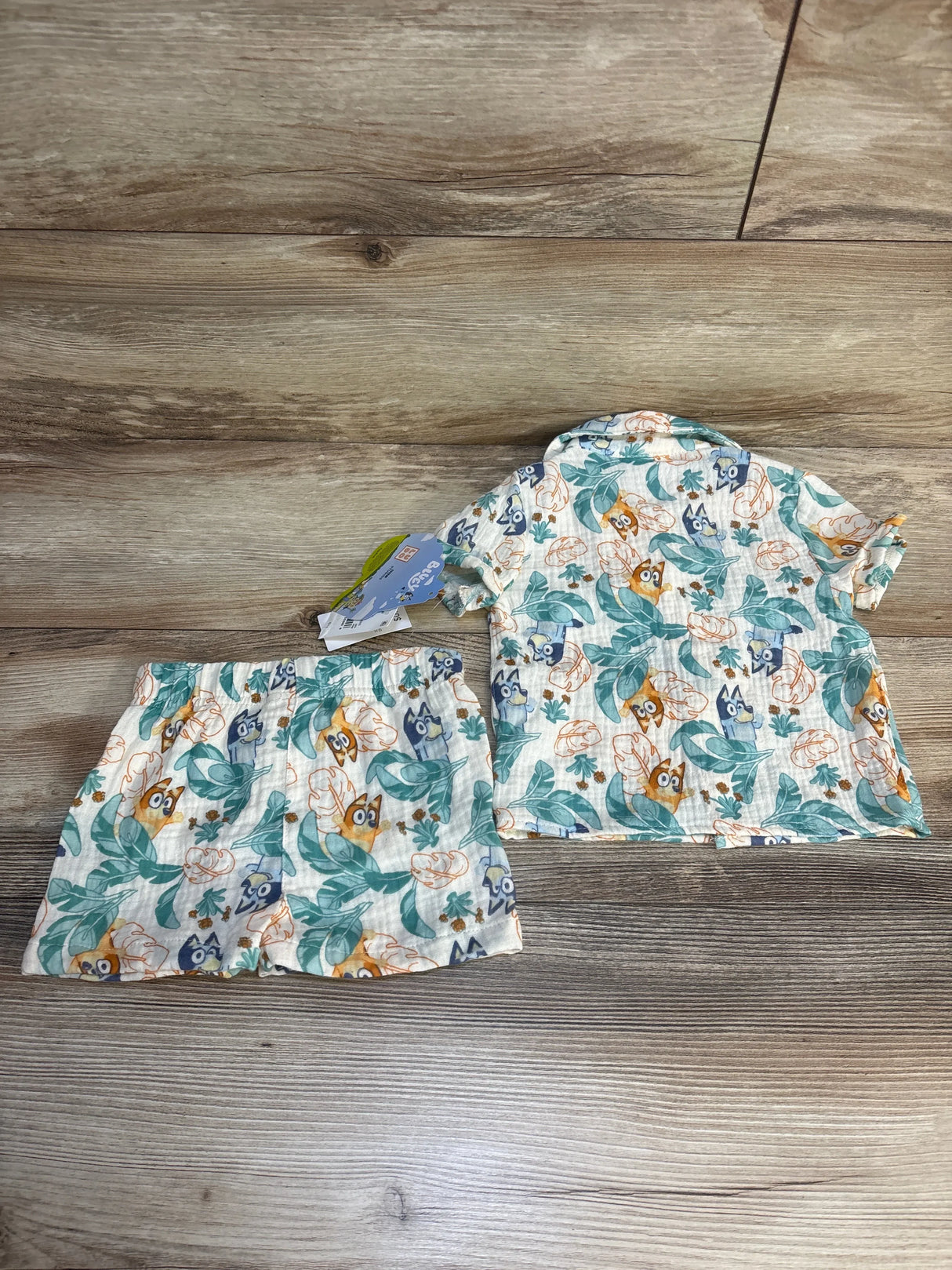 Baby boy short sleeve shirt and shorts set with colorful owl and leaf print on wood floor