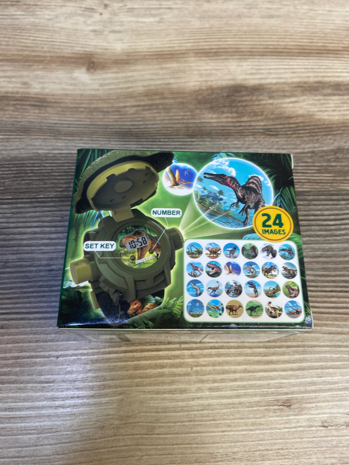 NEW Dinosaur Projection Watch