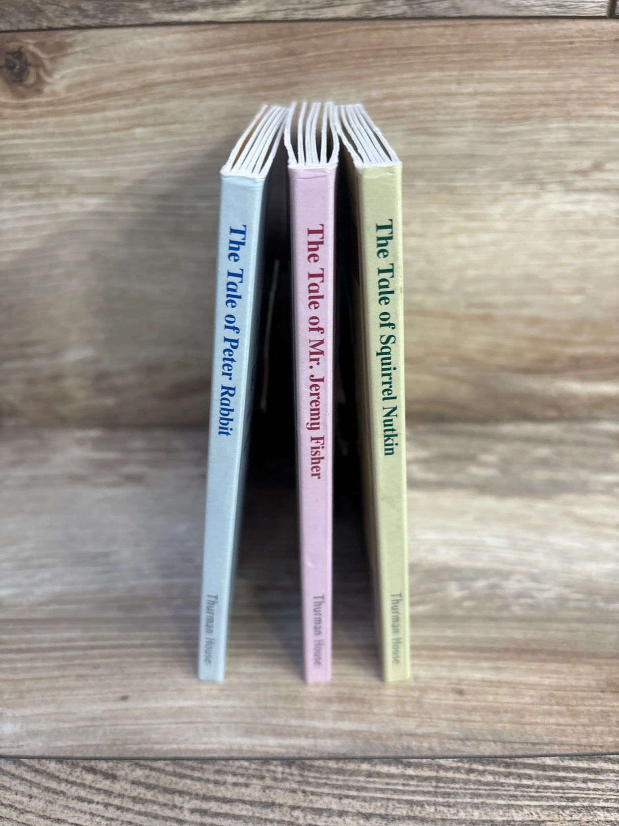 Set of 3 The Tale of Peter Rabbit Beatrix Potter Bookmark Board Books - Me n Mommy To Be