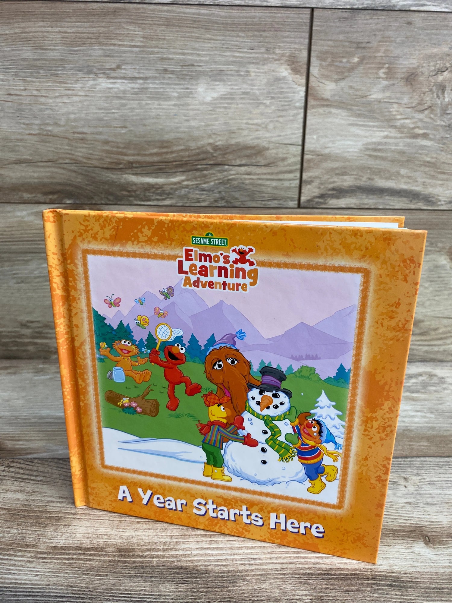 Sesame Street A Year Starts Here Hardcover Book