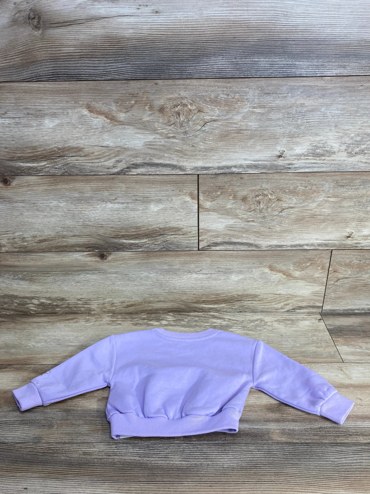Light purple baby sweatshirt with long sleeves on wood background, gently used kids clothing
