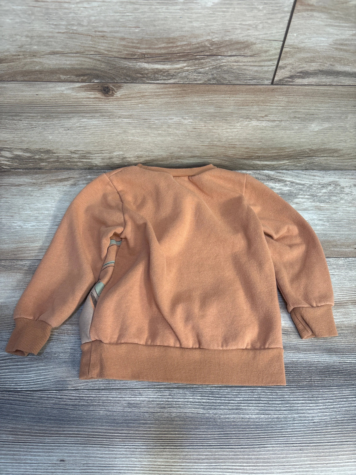 Star Wars Yoda Sweatshirt Caramel sz 3T