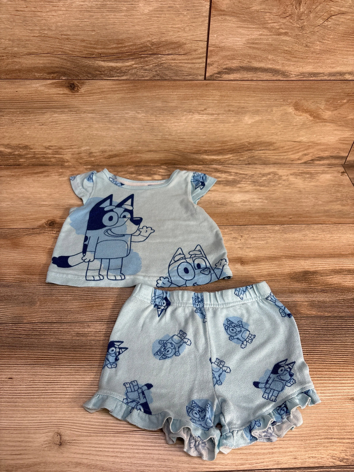 Light blue toddler shirt and shorts set with cartoon blue dog character print on wood floor