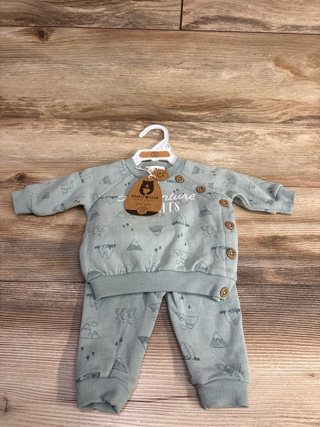 NEW Rabbit + Bear 2pc Adventure Awaits Sweatshirt Set Light Blue sz 0-3m