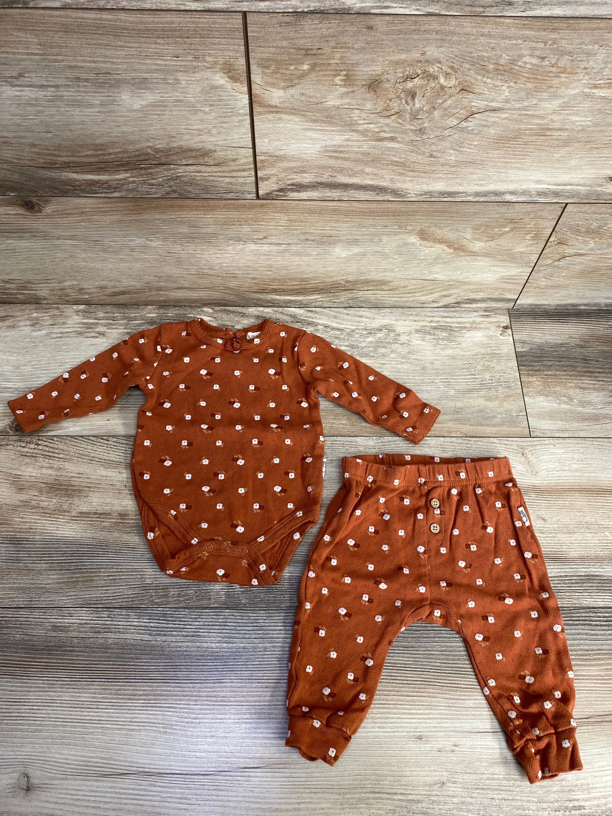 Rabbit Bear 2pc Floral Bodysuit & Bottoms Set Rust sz 3-6m