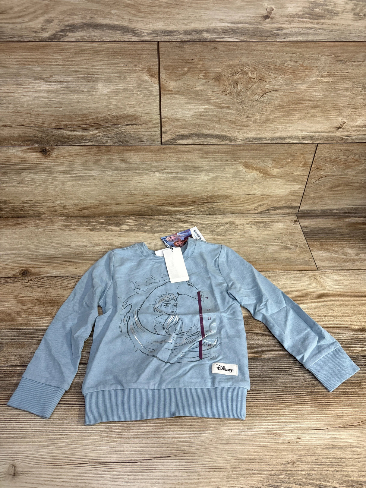 Disney Frozen Elsa blue kids sweatshirt on wooden floor