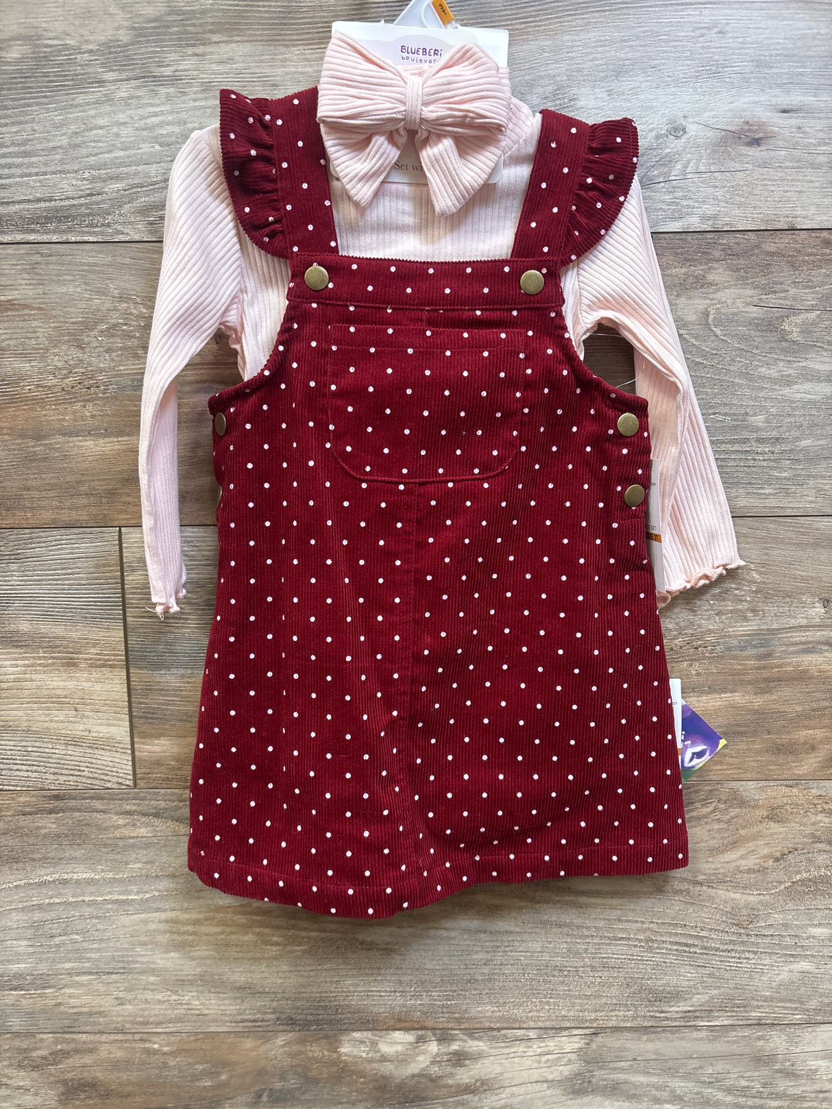 NEW Blueberi Boulevard 3pc Long Sleeve Shirt, Skirtall, & Headband Set Pink sz 3T