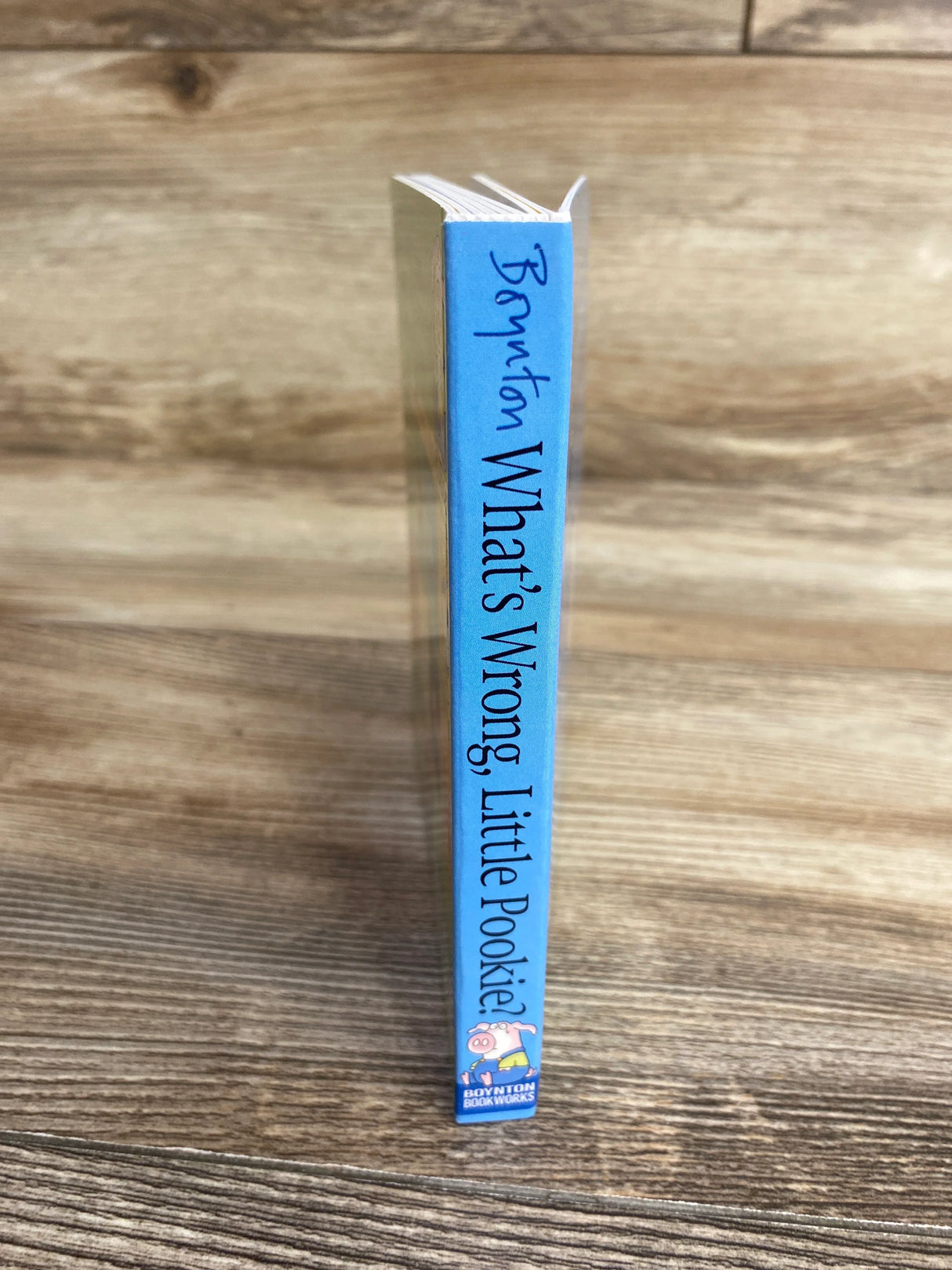 What's Wrong, Little Pookie? Board Book