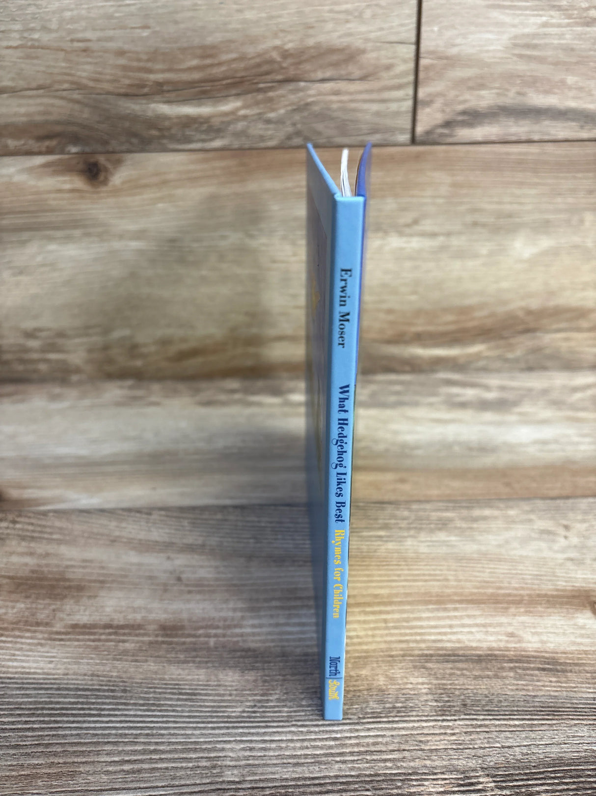 What Hedgehog Likes Best Hardcover Book