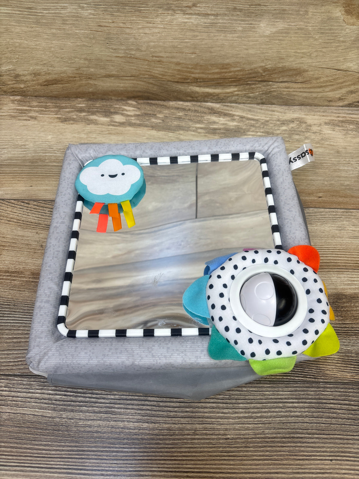 Sassy Tummy Time See Me Floor Mirror