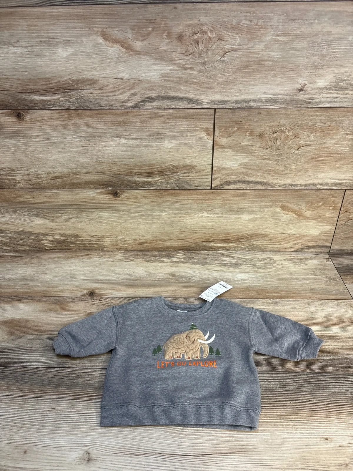 Gray toddler sweatshirt with woolly mammoth graphic and 'Let's Go Explore' text on wood background.