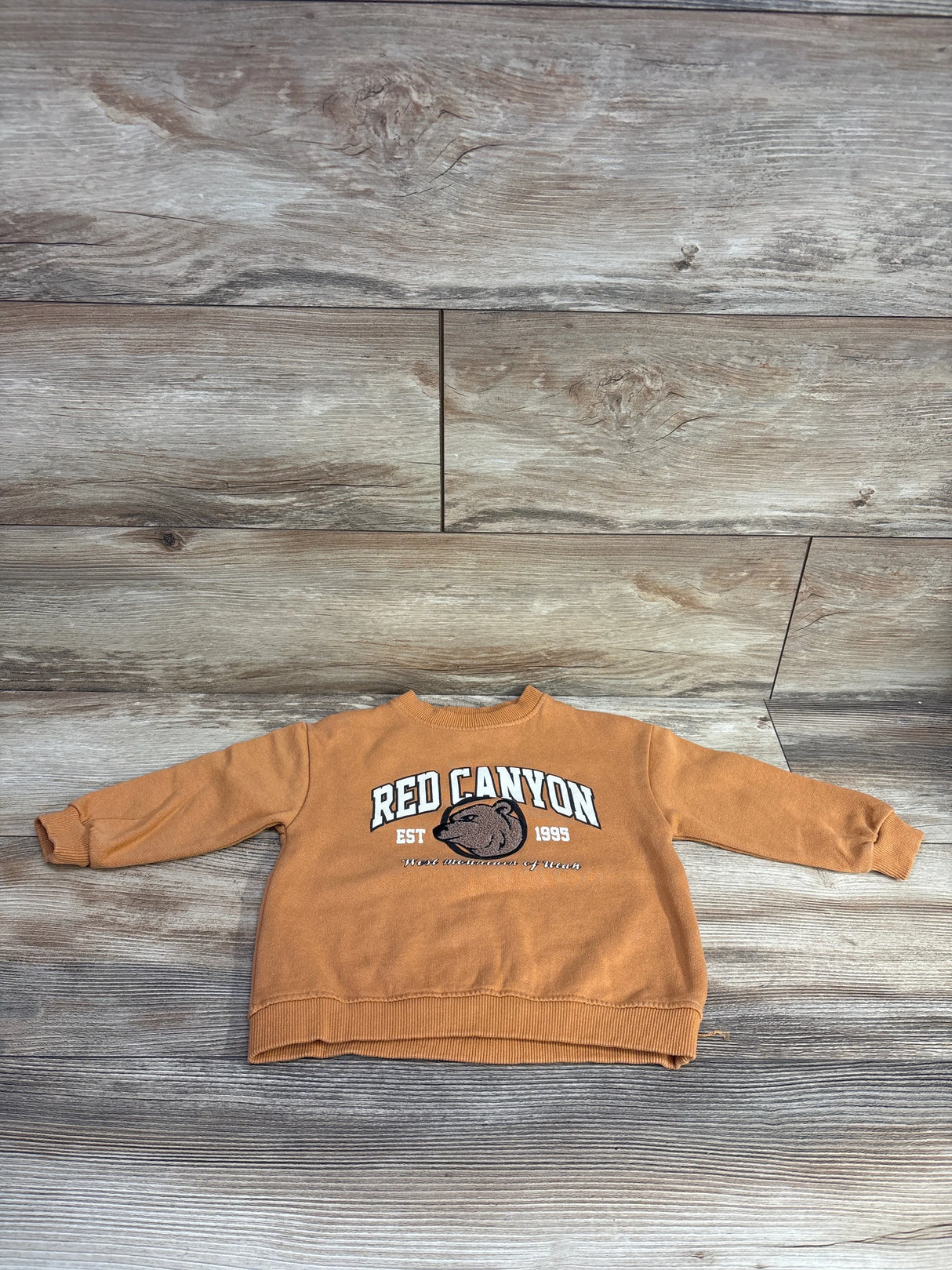 Zara Pull Over Red Canyon Sweatshirt Orange sz 9-12m