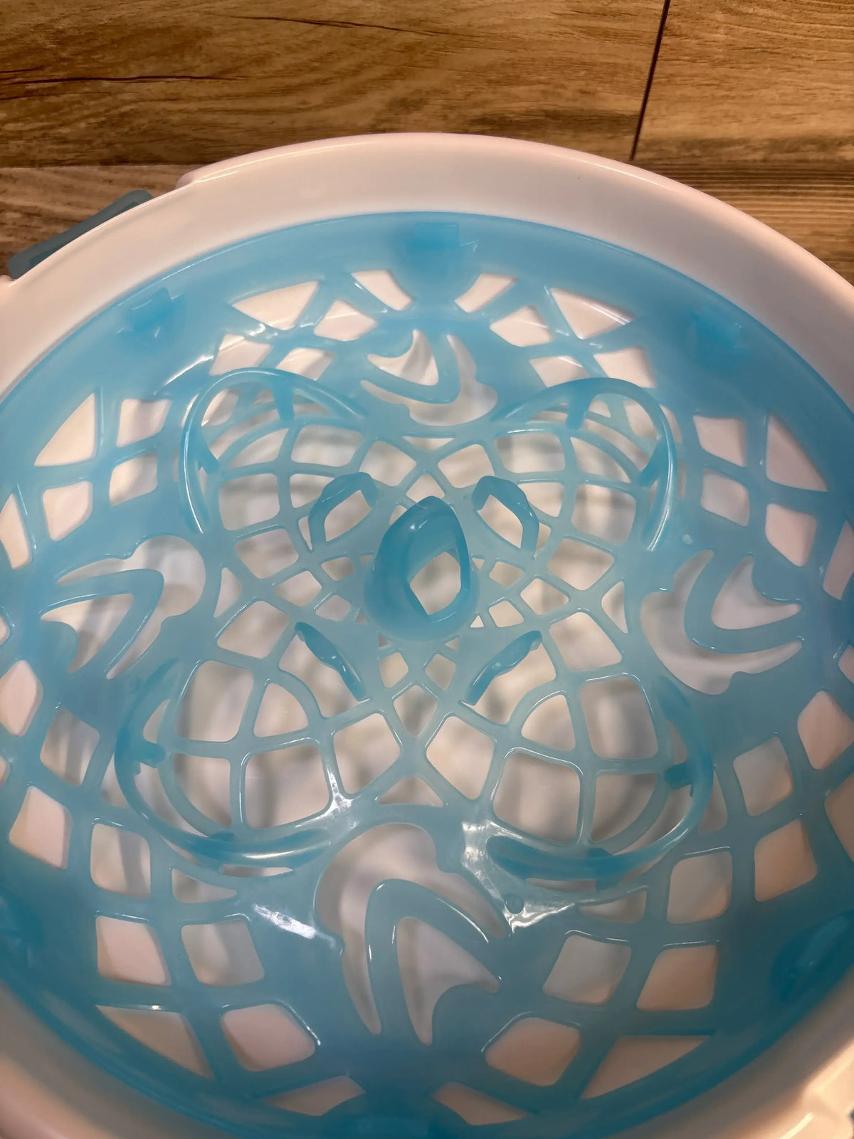 Top view of Munchkin Steam Guard microwave bottle sterilizer showing a blue insert inside a white basin on a wooden surface