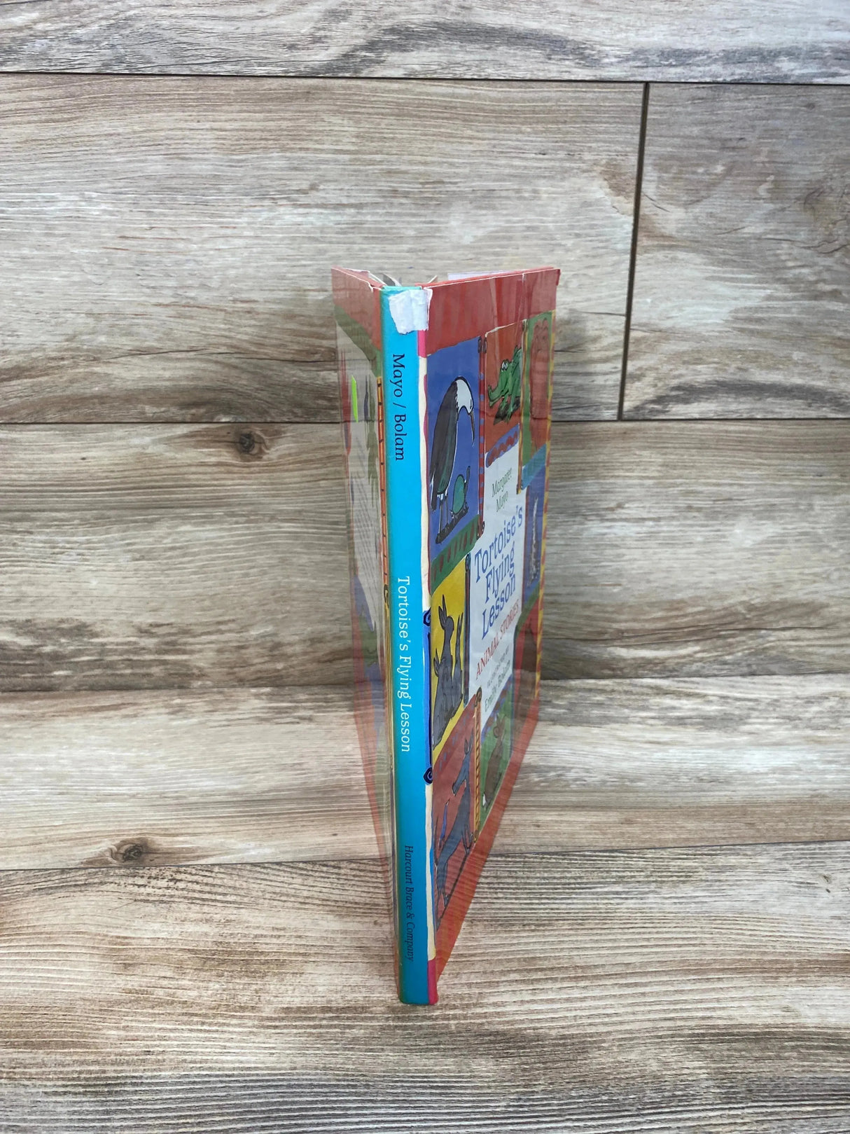 Tortoise's Flying Lesson by Mayo, Margaret Hardcover Book - Me n Mommy To Be