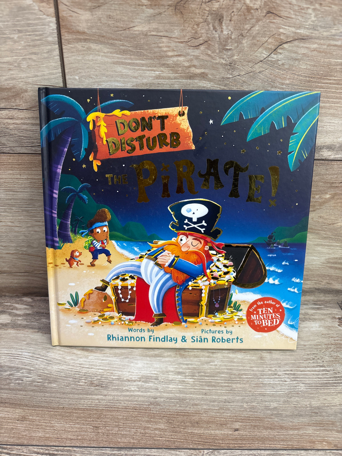 Don't Disturb The Pirate! Hardcover Book