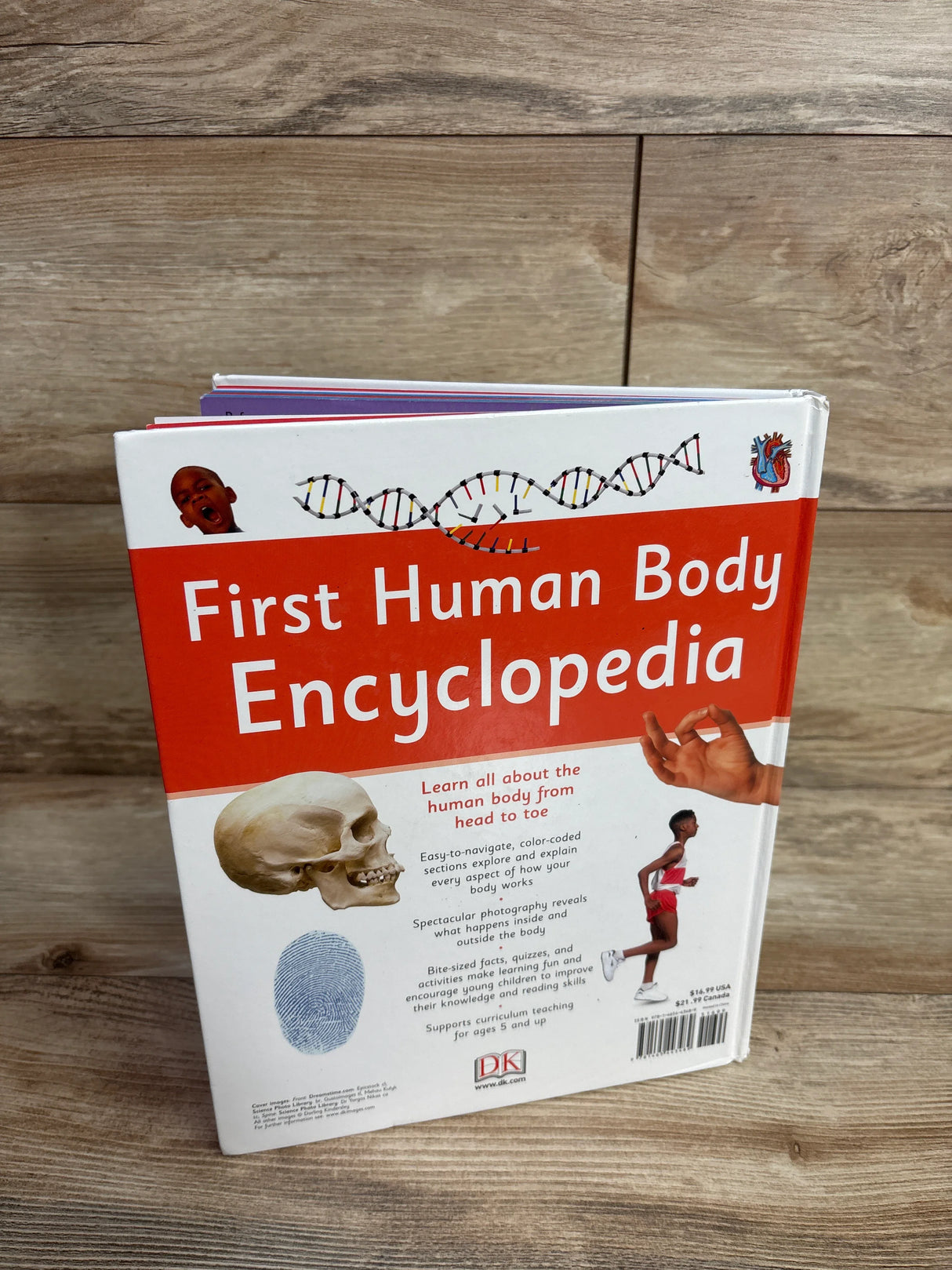 First Human Body Encyclopedia Hardcover Book