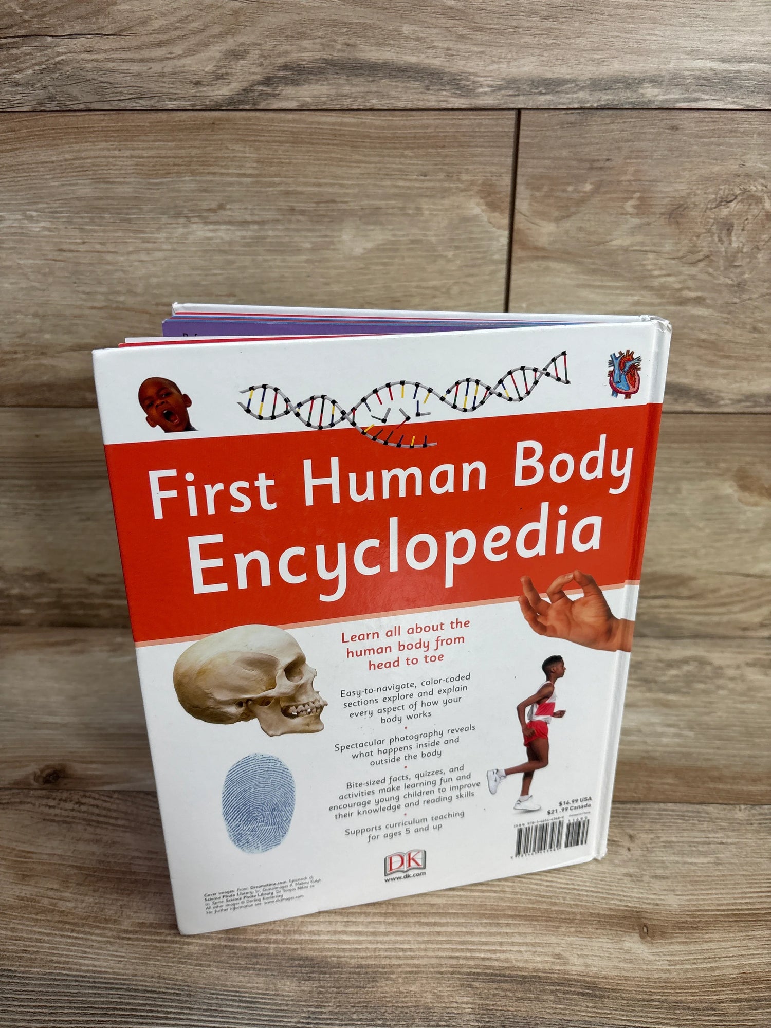 First Human Body Encyclopedia Hardcover Book