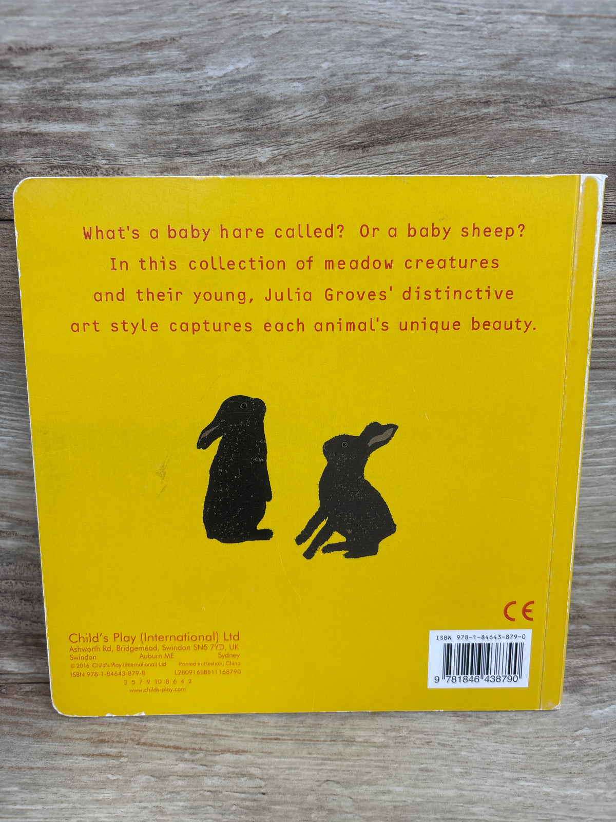Animal Babies in the Meadow! Board Book