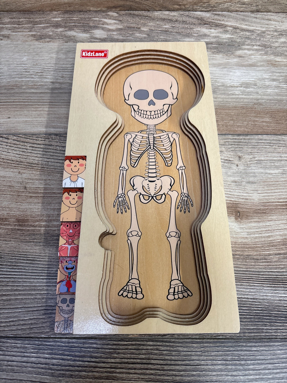 KidzLane wooden anatomy puzzle showing human skeleton on wooden table