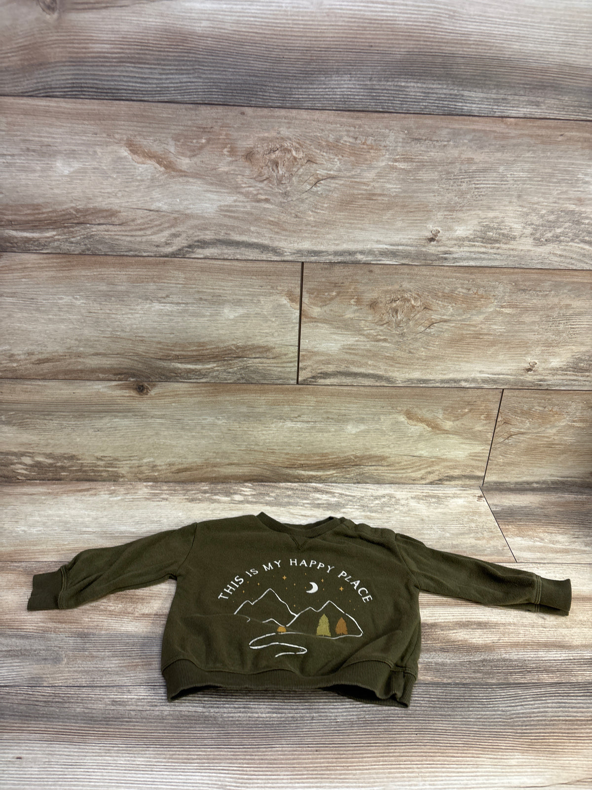 Little Co. Pullover Sweatshirt Green sz 12m