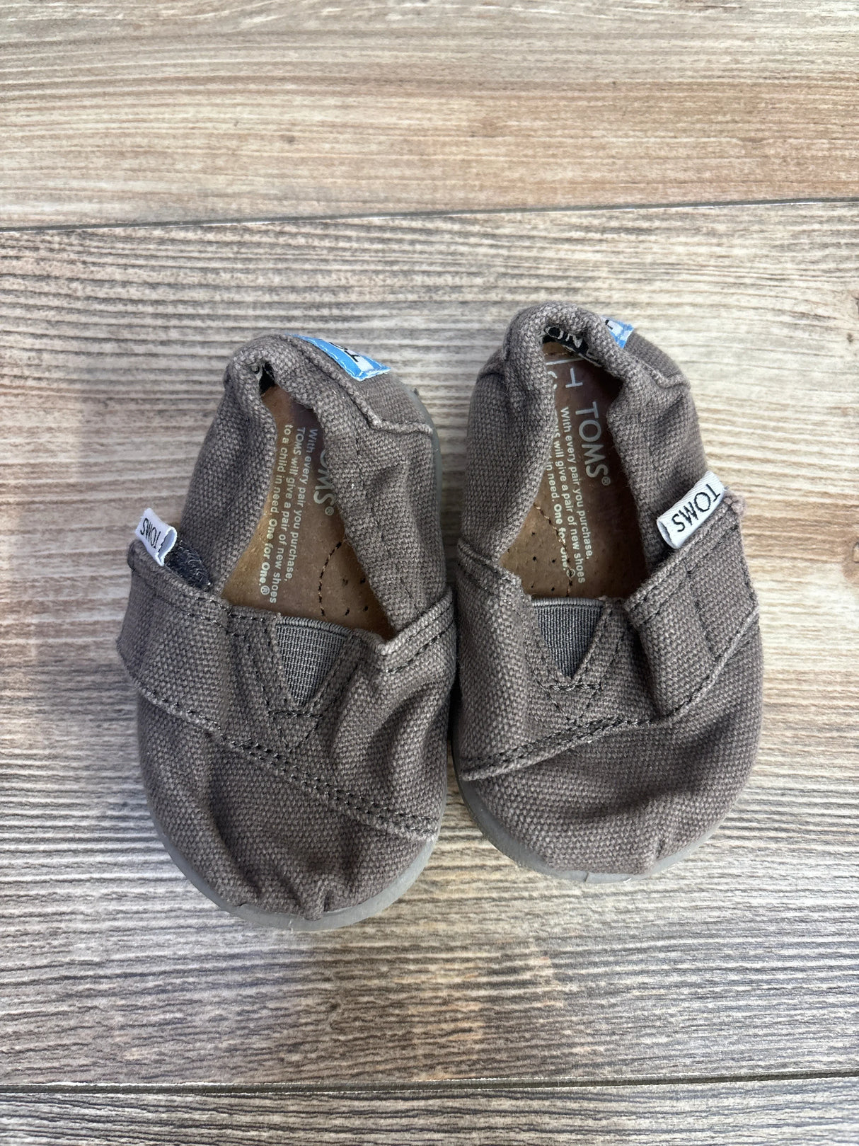 Top-down view of gray Toms Tiny Alpargata toddler shoes showcasing canvas slip-on upper and TOMS heel tags on wood-plank background