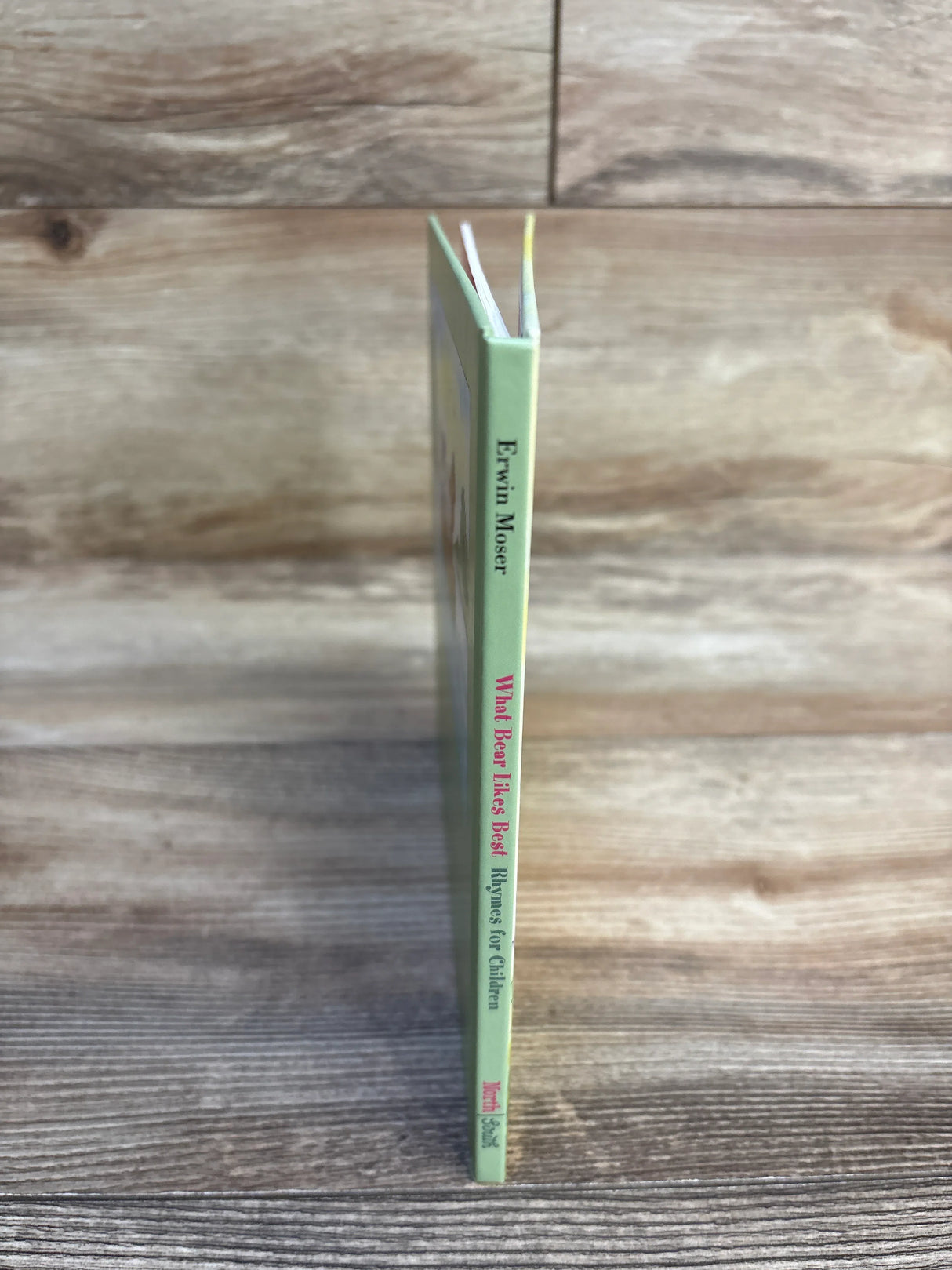 What Bear Likes Best Hardcover Book