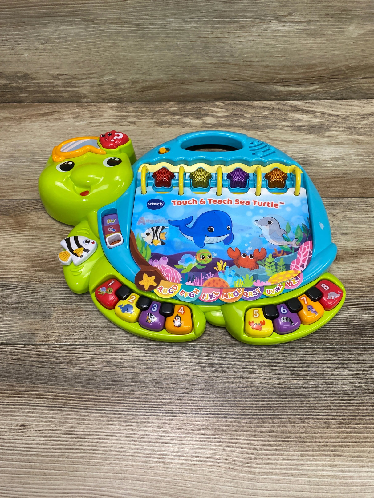 Vtech Touch & Teach Sea Turtle - Me n Mommy To Be