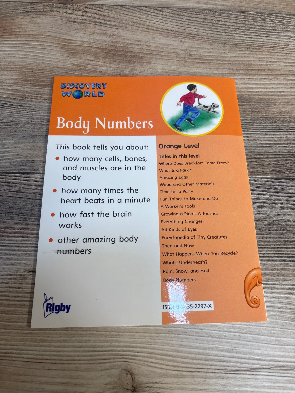 Discovery World Body Numbers children's book cover on wood table, educational kids science book