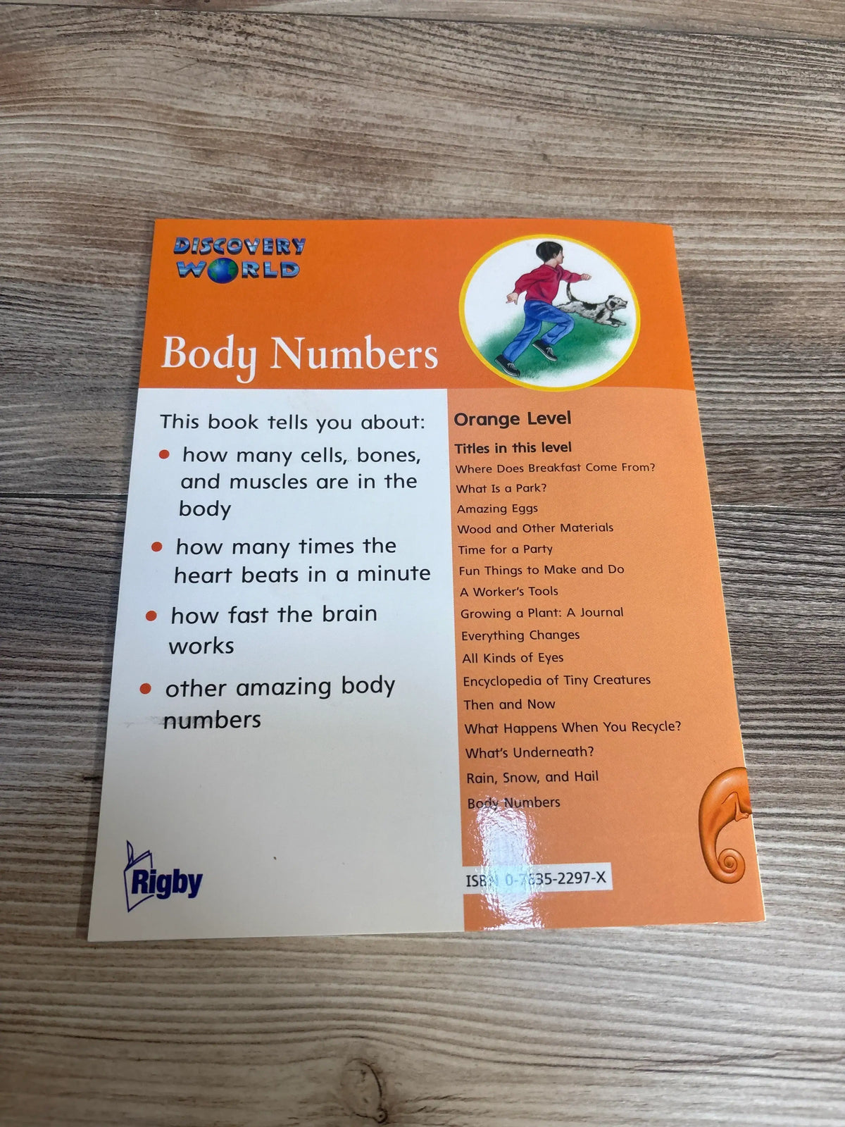 Discovery World Body Numbers children's book cover on wood table, educational kids science book