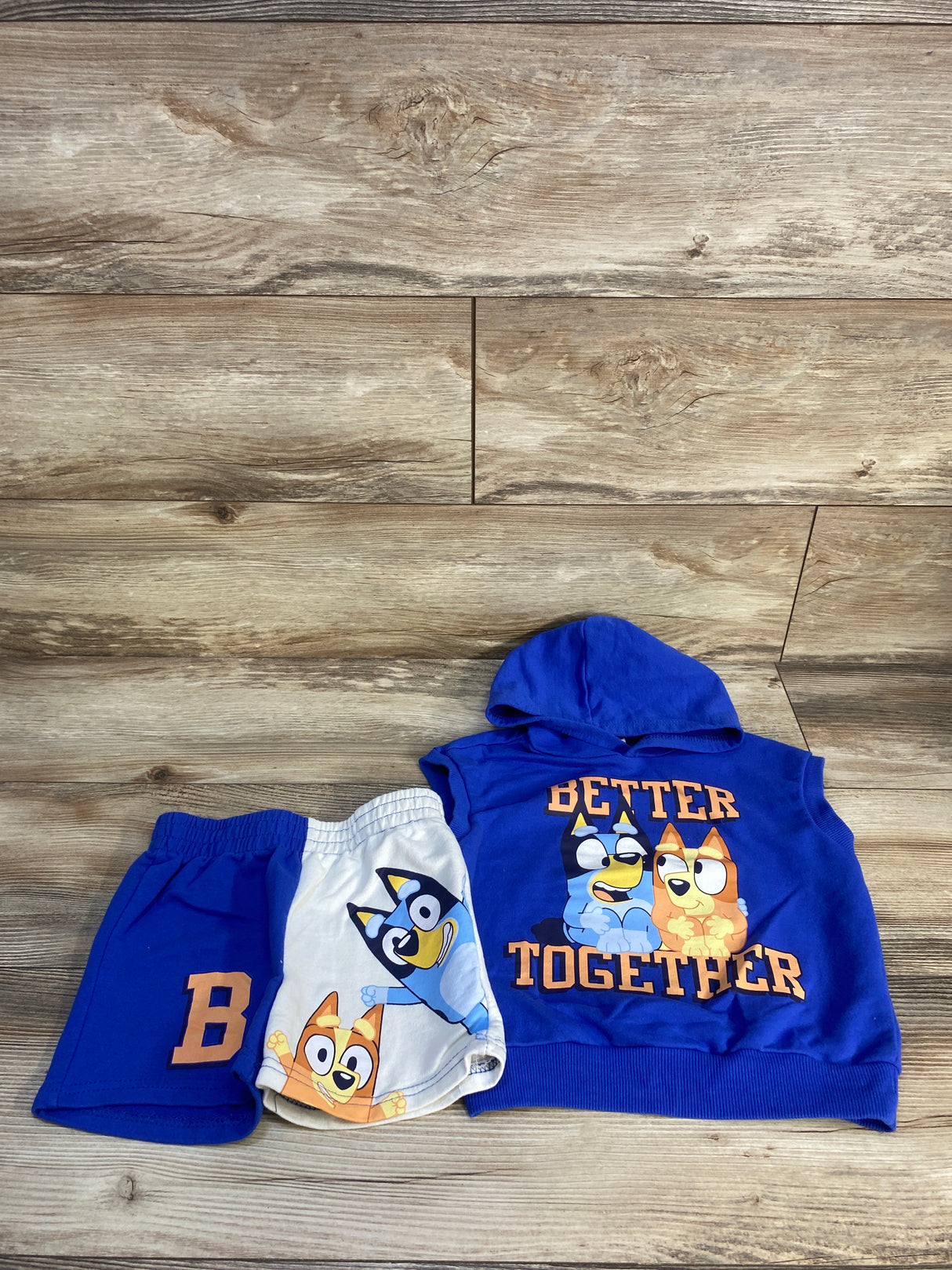 Bluey 2pc Better Together Sleeveless Pull Over Hoodie & Bottoms Set Blue sz 2T