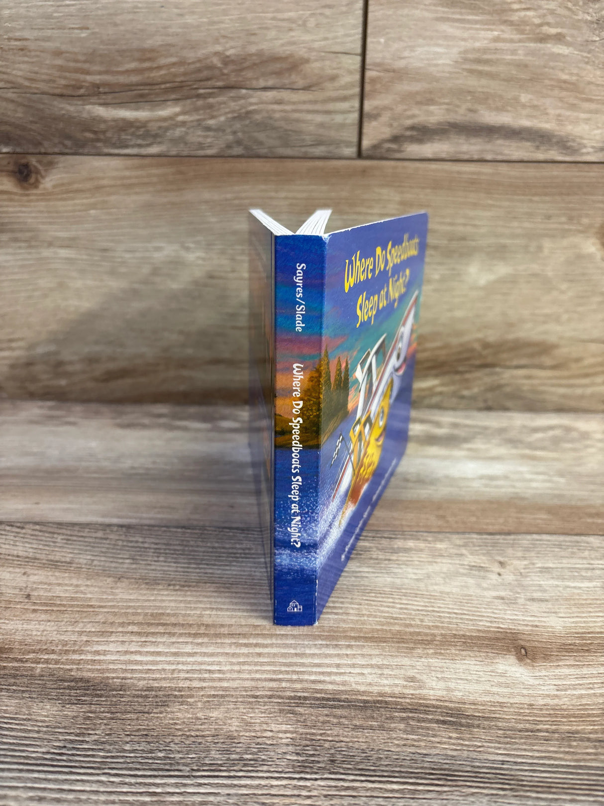 Where Do Speedboats Sleep at Night? Board Book