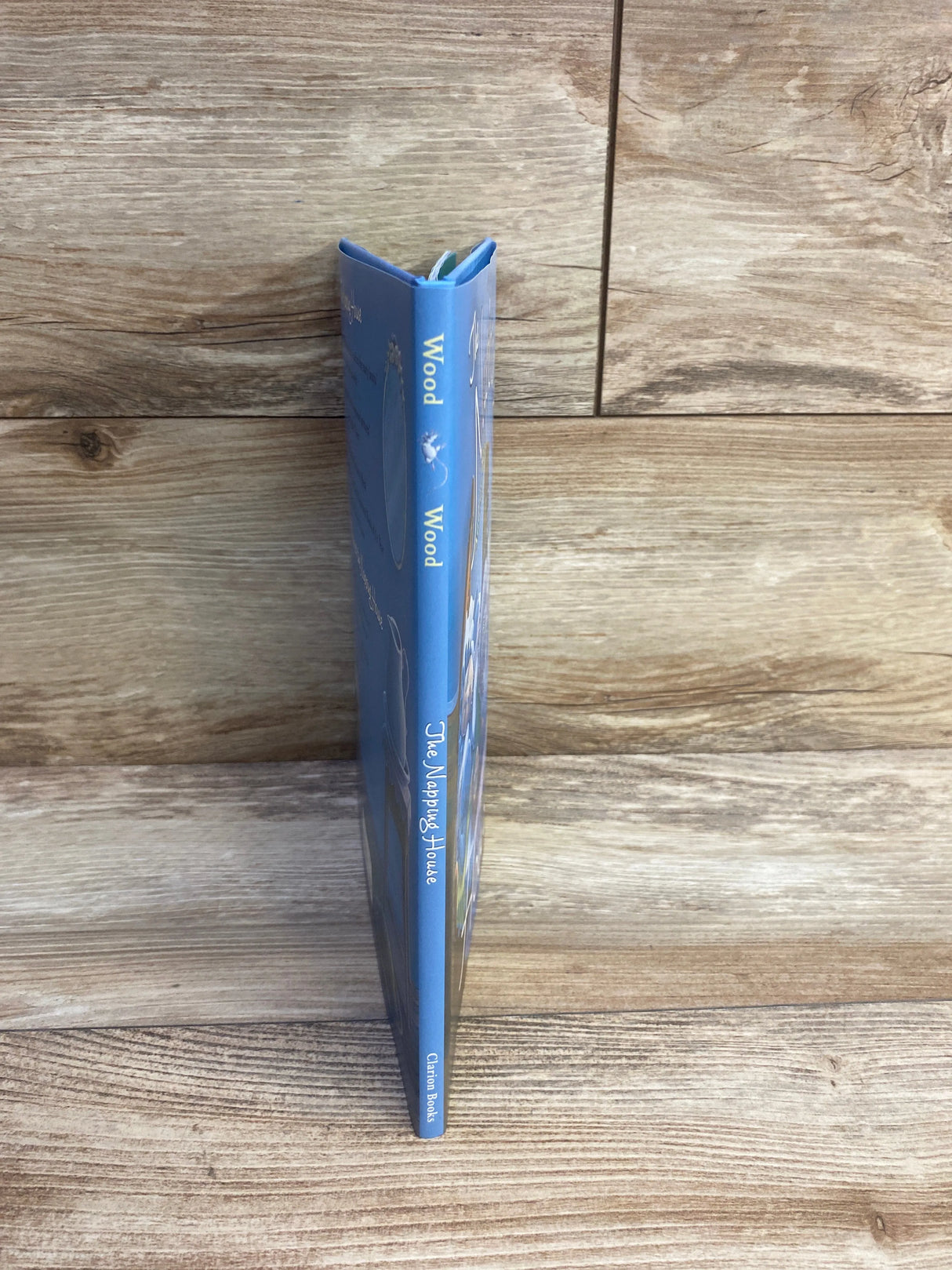 Blue children’s book titled 'The Alphey House' standing on wood surface, spine visible