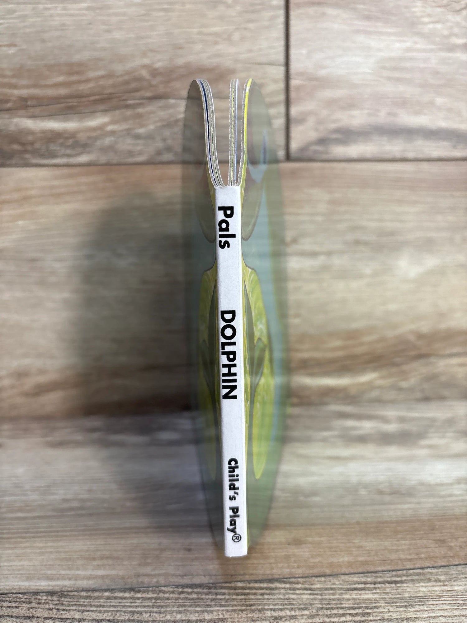 Dolphin My Pals Board Book