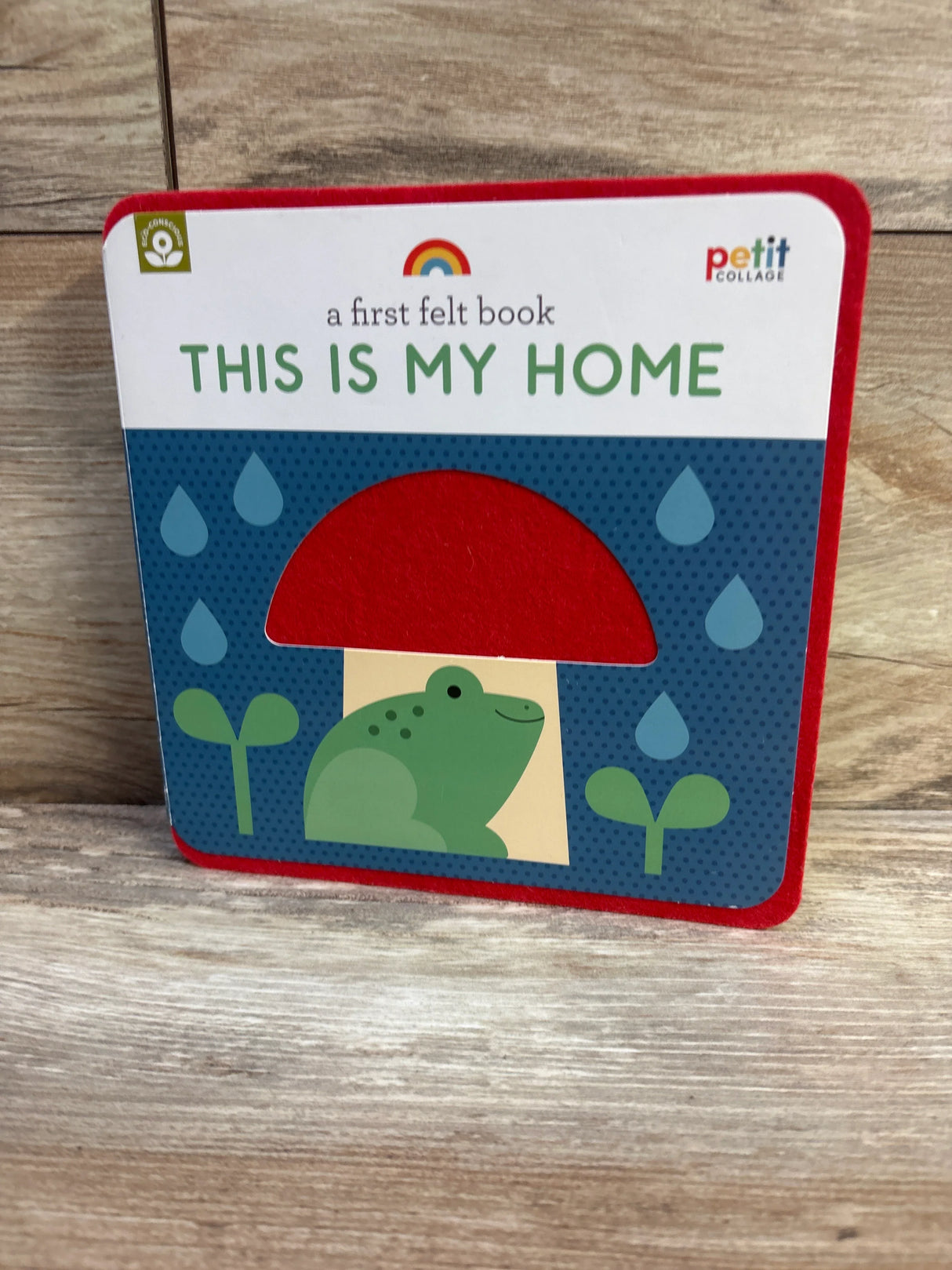 A First Felt Book: This Is My Home